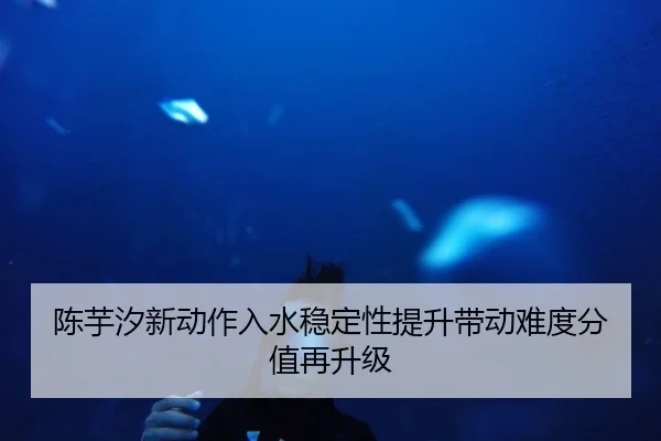 陈芋汐新动作入水稳定性提升带动难度分值再升级 | zhongou